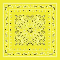 Paisley Bandana by Make Market®