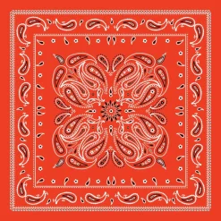 Paisley Bandana by Make Market®