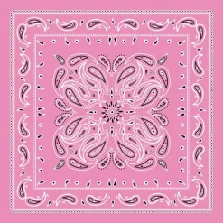 Paisley Bandana by Make Market®
