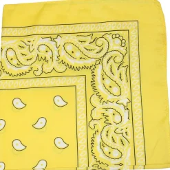 Paisley Bandanas Head Wrap, 100% Cotton Double Sided, 21 x 21 Inch