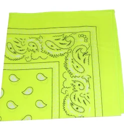 Paisley 100% Cotton Double Sided Bandana - 22 inches
