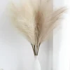 Pampas Grass: Elegant Decor for Home and Wedding Decor