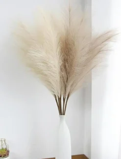 Pampas Grass: Elegant Decor for Home and Wedding Decor