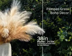 Pampas Grass: Elegant Decor for Home and Wedding Decor