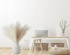 Pampas Grass: Elegant Decor for Home and Wedding Decor