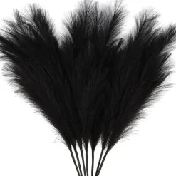 Pampas Grass: Elegant Decor for Home and Wedding Decor