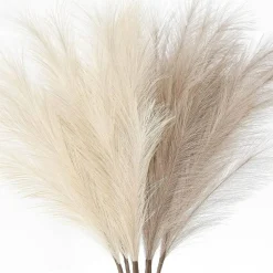 Pampas Grass: Elegant Decor for Home and Wedding Decor