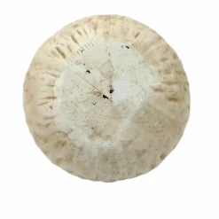 6.5" Paper Mache Pumpkin Tabletop Décor by Ashland®