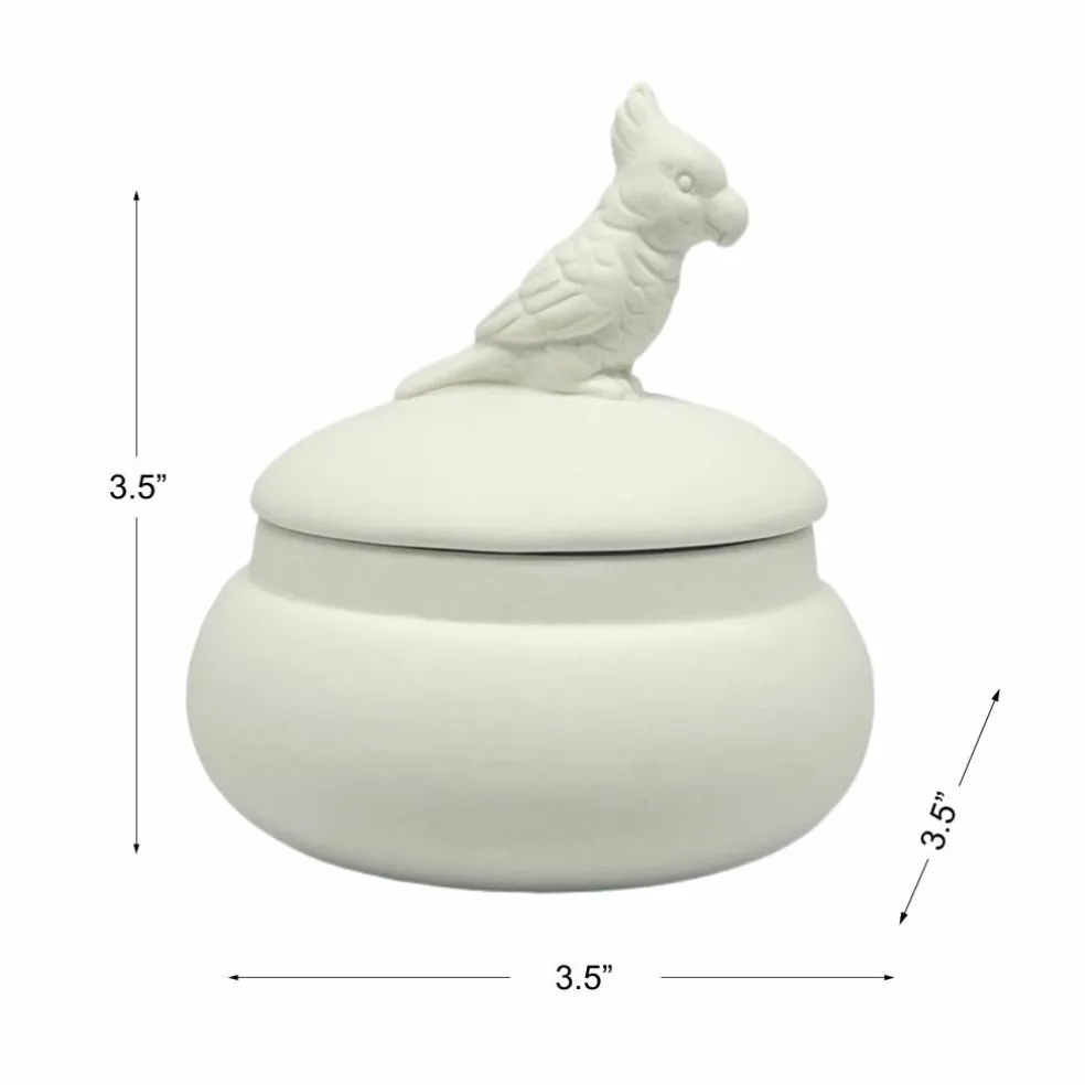 3.5" Parrot DIY Ceramic Trinket Box with Lid by Make Market®