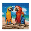 Parrots Painting Diamond Art Kit by Make Market®