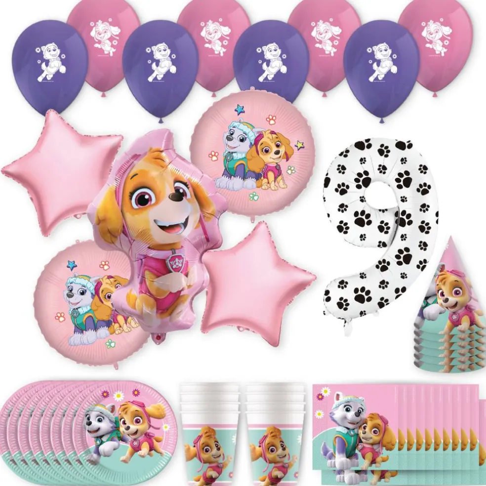 PAW Patrol™ Skye & Everest Birthday Party Kit with Number
