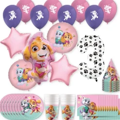 PAW Patrol™ Skye & Everest Birthday Party Kit with Number