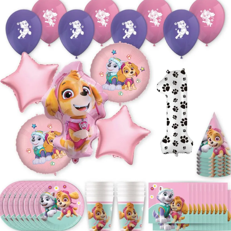 PAW Patrol™ Skye & Everest Birthday Party Kit with Number