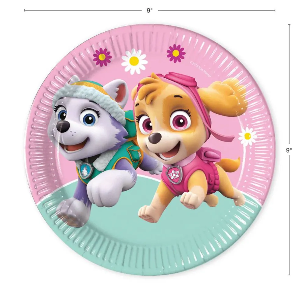 Paw Patrol Skye & Everest Party Kit