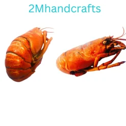 1pc Realistic Cooked Lobster Body Silicone Mold| Food Shape Silicone Mold| Soap| Candle | Mold for Wax| Mold for Resin| Not Food Grade