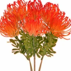 6 PCS Artificial Tropical Flowers, UV Resistant Fake Protea and Spider Mum Floral Arrangement, 13.4 Inch Plastic Faux Flower Centerpieces for Home Kitchen Office Indoor Outdoor Decor