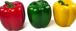 11 Pcs Artificial Vegetables, Faux Fake Mixed Vegetables Decoration