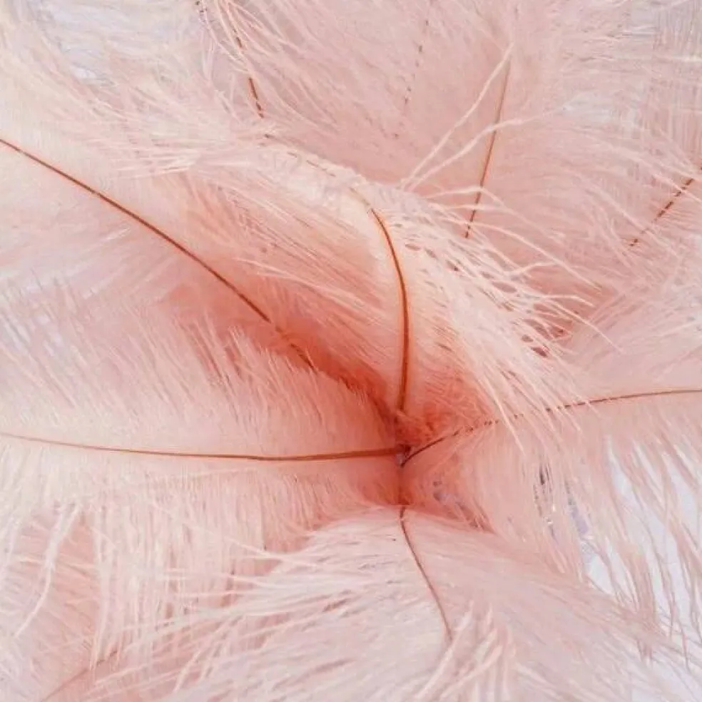 12 pcs 13"-15" long Genuine Ostrich Feathers
