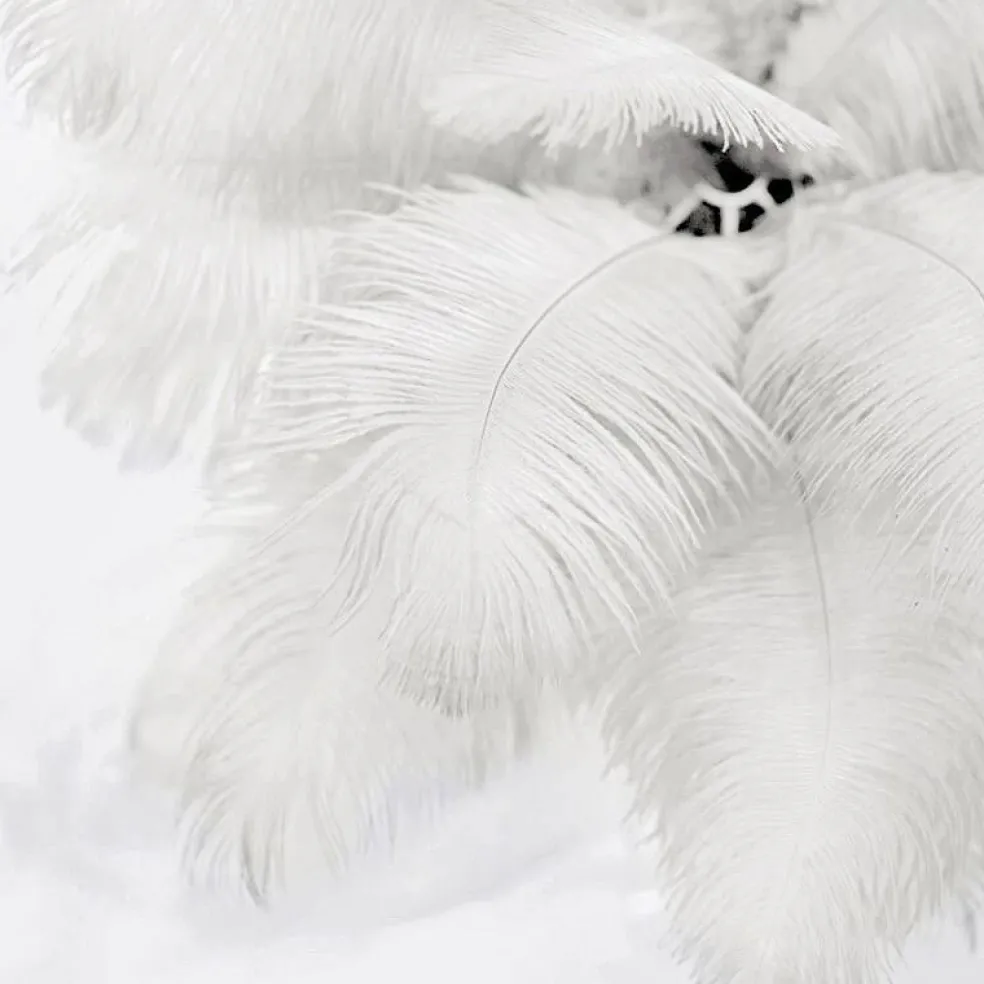 12 pcs 13"-15" long Genuine Ostrich Feathers