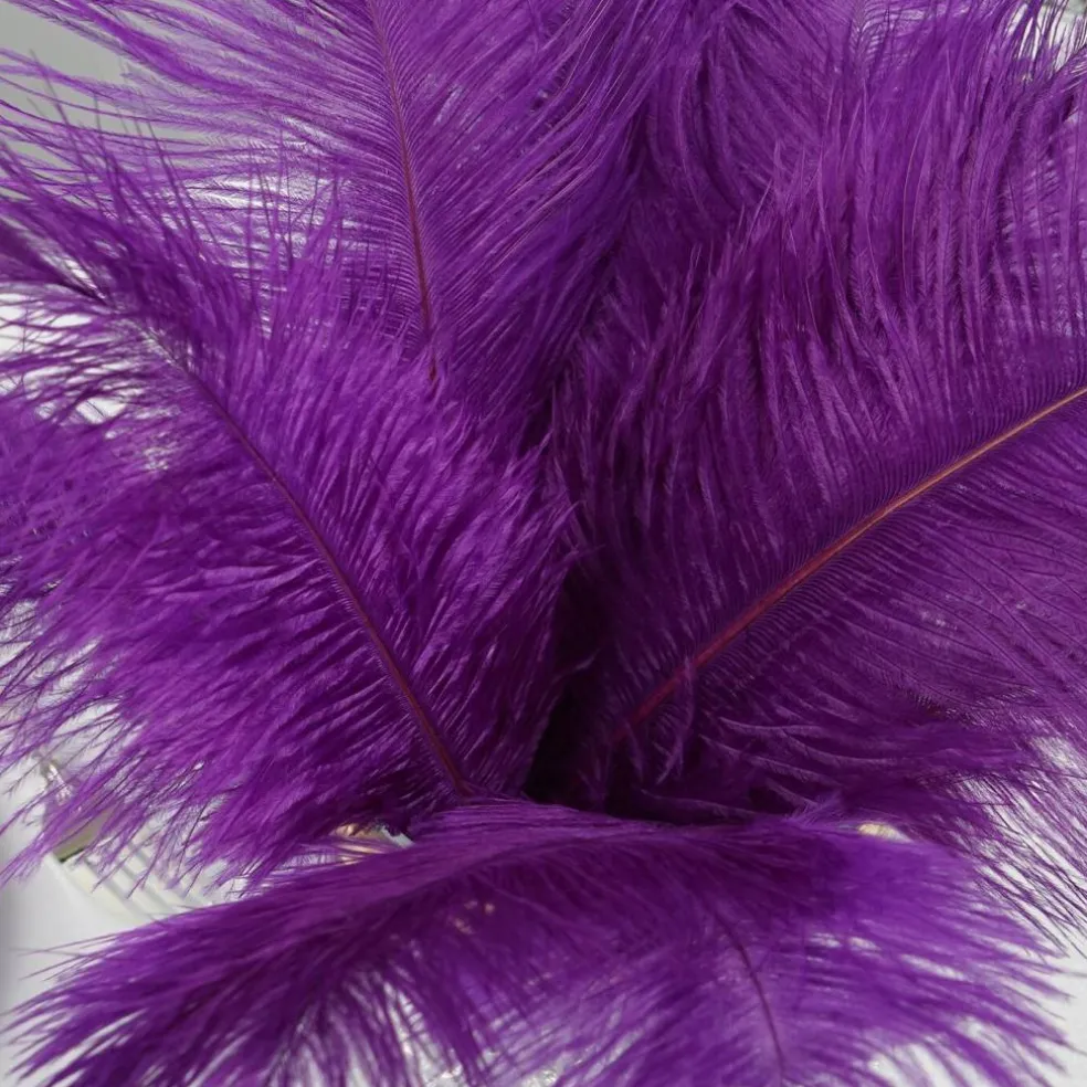 12 pcs 13"-15" long Genuine Ostrich Feathers