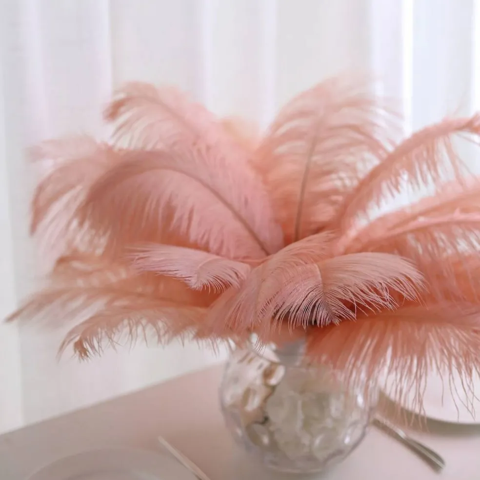 12 pcs 13"-15" long Genuine Ostrich Feathers