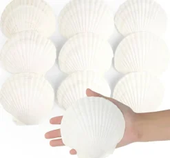 10 PCS Natural Scallop Shells, 4-5” White Seashells for Crafts, Wedding Decor, Beach Party, Fish Tank & Vase Fillers