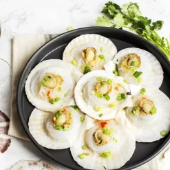 10 PCS Natural Scallop Shells, 4-5” White Seashells for Crafts, Wedding Decor, Beach Party, Fish Tank & Vase Fillers