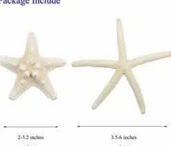 12 PCS Natural Starfish Assortment, 2-6 Inch Mixed White Starfish Shells for Beach Wedding Decorations, Coastal Home Decor, Nautical Party Supplies, Fish Tank Accessories & DIY Craft Projects
