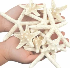 12 PCS Natural Starfish Assortment, 2-6 Inch Mixed White Starfish Shells for Beach Wedding Decorations, Coastal Home Decor, Nautical Party Supplies, Fish Tank Accessories & DIY Craft Projects