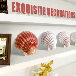 8 PCS Natural White Scallop Shells, 4-4.5 Inch Polished Sea Shells for DIY Craft, Home Decor, Wedding & Hawaiian Party Supplies