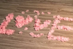 1500PCS Pink Rose Petals Silk Rose Petals for Romantic Night for Her Set Valentine's Day,Wedding,Party,Proposal Anniversary Decorations