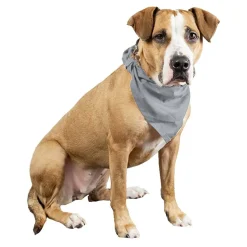 3 Pcs Plain Cotton Pets Dogs Bandana Triangle Shape  - Large & Washable