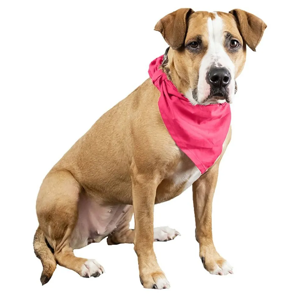 3 Pcs Plain Cotton Pets Dogs Bandana Triangle Shape - Large & Washable