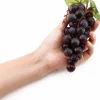 2PCS Purple Grapes - Fake Fruit