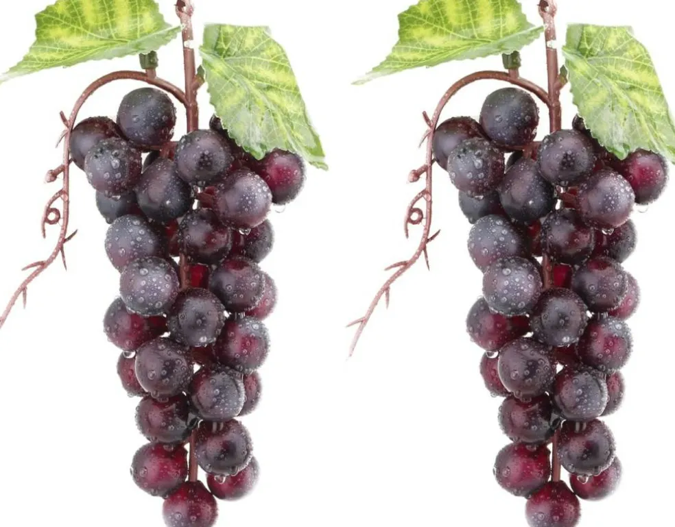 2PCS Purple Grapes - Fake Fruit