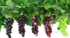 2PCS Purple Grapes - Fake Fruit