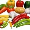 22pcs Realistic Artificial Fake Vegetables, Artificial Vegetables for Decoration