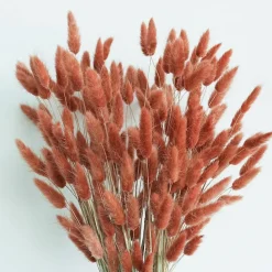 120Pcs Rust Orange Dried Pampas Grass Decor 17 Inch Bunny Tail Flowers Boho Floral Arrangement Wedding Vase Filler Home Decoration