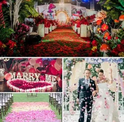 200PCS Silk Rose Petals Burgundy Gold Pink Wedding Supplies Flower Girl Basket Table Aisle Runner Confetti Valentine's Day Decoration