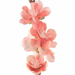 Peach Blossom Stem by Ashland®