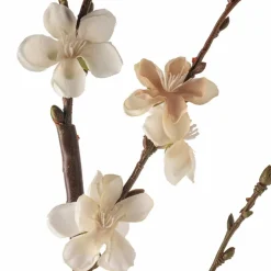 Peach Blossom Stem by Ashland®