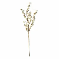 Peach Blossom Stem by Ashland®