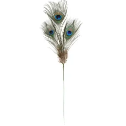 Peacock Feather Picks by Ashland®