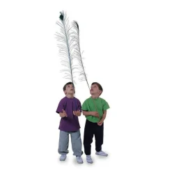 Peacock Feathers