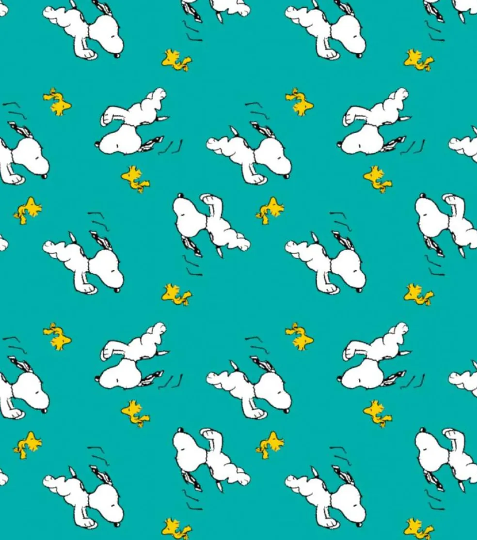 Peanuts® Snoopy & Woodstock On the Go Fleece Fabric