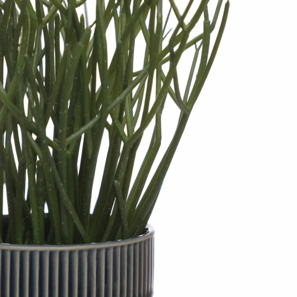 13" Pencil Cactus in Blue Ceramic Pot by Ashland®