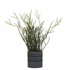 13" Pencil Cactus in Blue Ceramic Pot by Ashland®