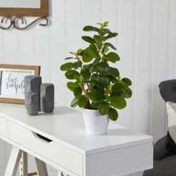 16" Peperomia Plant in Decorative Planter