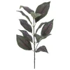 15" Perliapta Dyeriana Leaves Pick by Ashland®