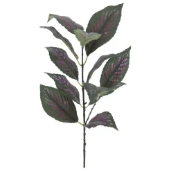 15" Perliapta Dyeriana Leaves Pick by Ashland®